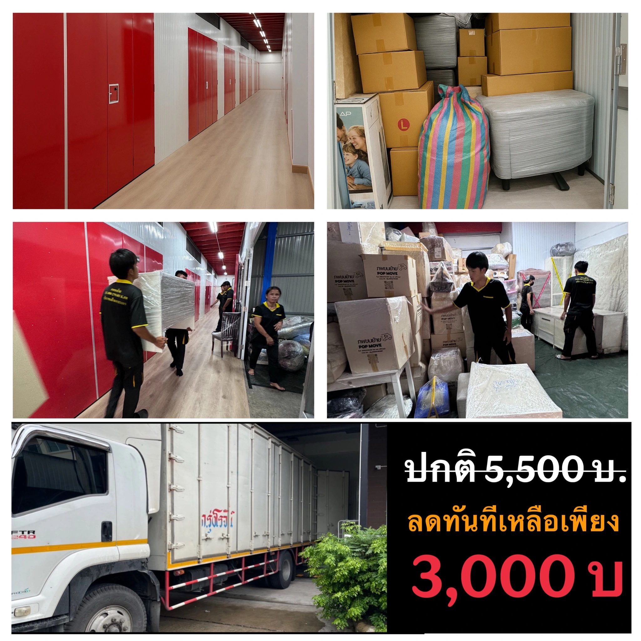 ฝากแมว นนทบุรี บริการที่เก็บของ Thai2Storage และโรงแรมแมว Wimanmeow