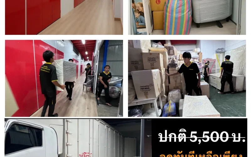 ฝากแมว นนทบุรี บริการที่เก็บของ Thai2Storage และโรงแรมแมว Wimanmeow